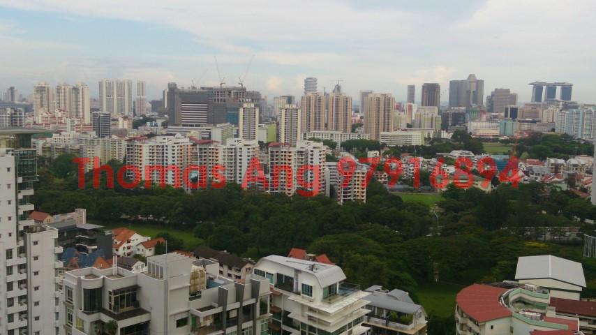 Soleil @ Sinaran (D11), Condominium #88391232